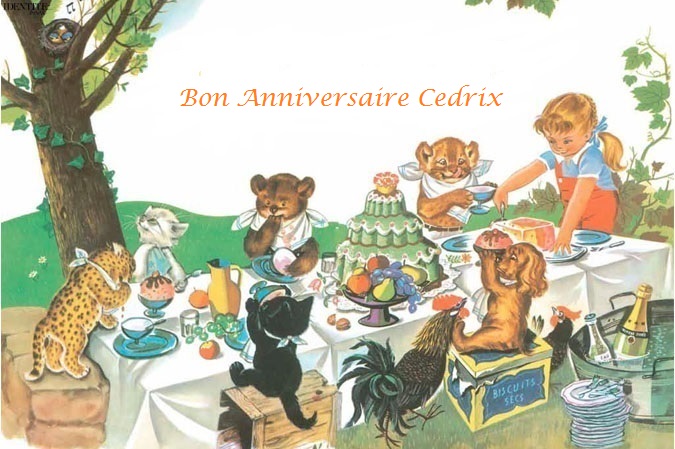 Bon Anniversaire Cédrix Album-10