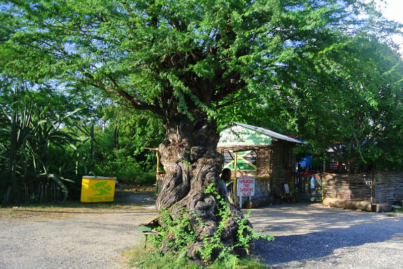 JAMAICA pictures from jamrock Danger10