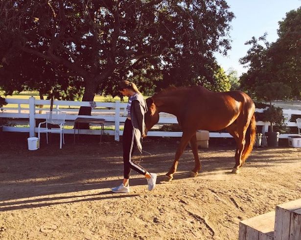 Zayn Malik and Gigi Hadid take couple's horseriding lessons Gigi-h11