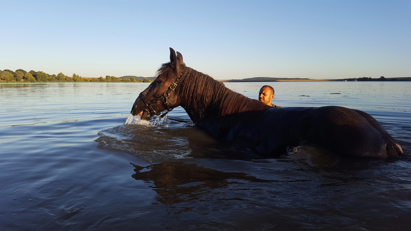 (Dept 87) FALCO DES FONTS - Percheron PP - Sauvé par Amandine_Framboise (Décembre 2015) - Page 13 20160841