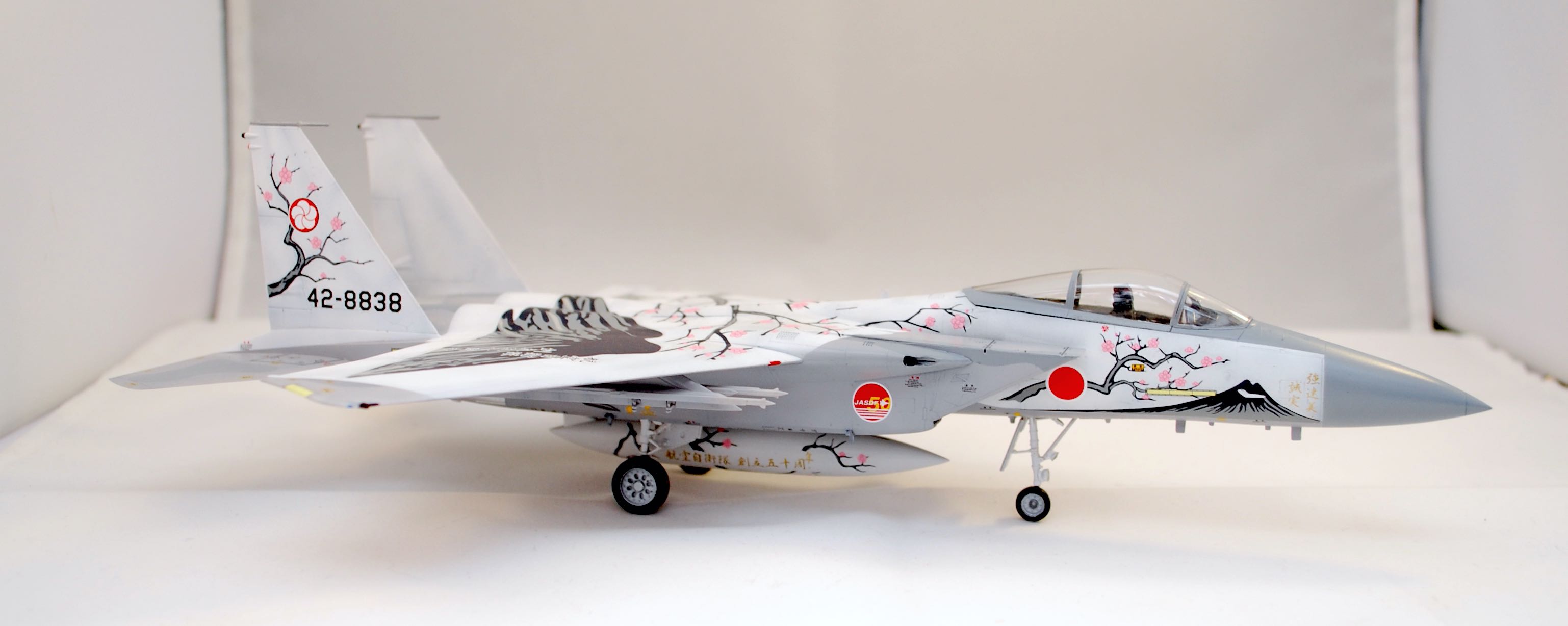 F-15J "50ans J.A.S.D.F." [Hasegawa] 00764 Dsc_0153
