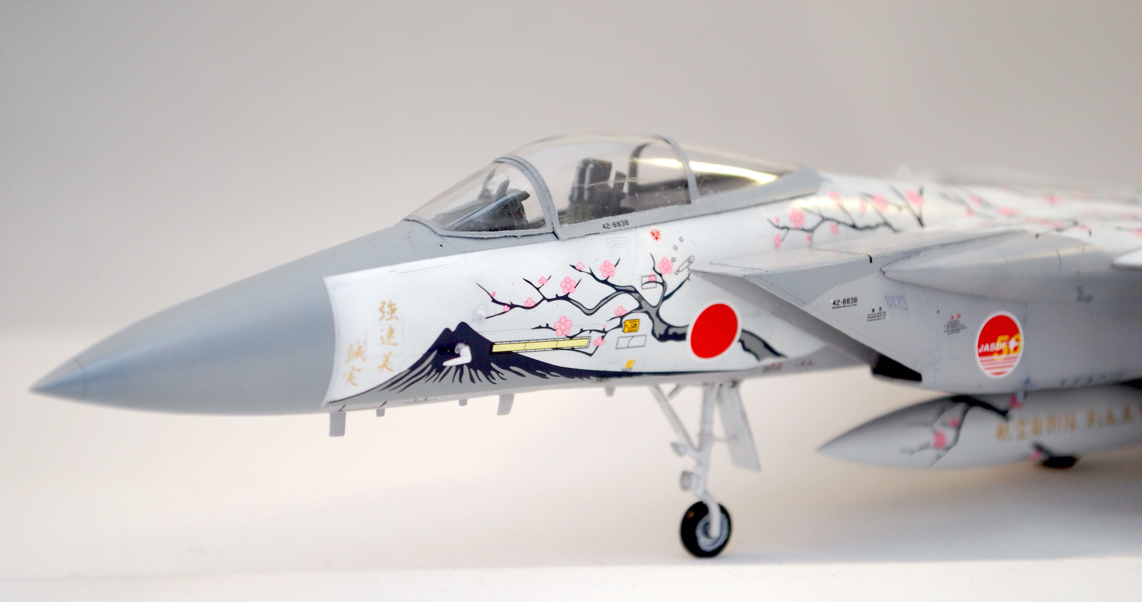F-15J "50ans J.A.S.D.F." [Hasegawa] 00764 Dsc_0157