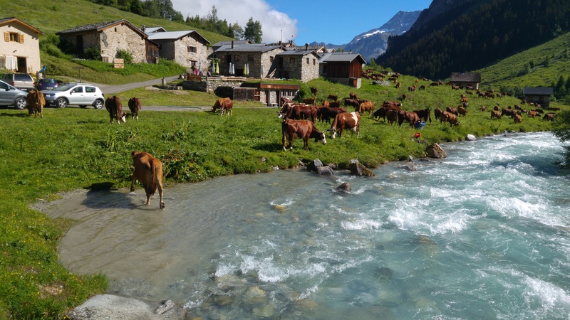 Haute Tarentaise... 20160715