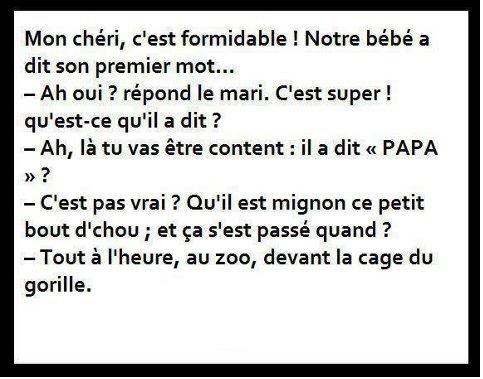 Mort de rire — parce que j'ai le sens de l'humour, moi ! - Page 23 A310