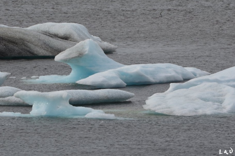 Road trip en Islande : pays de feu et de glace Isl_2313