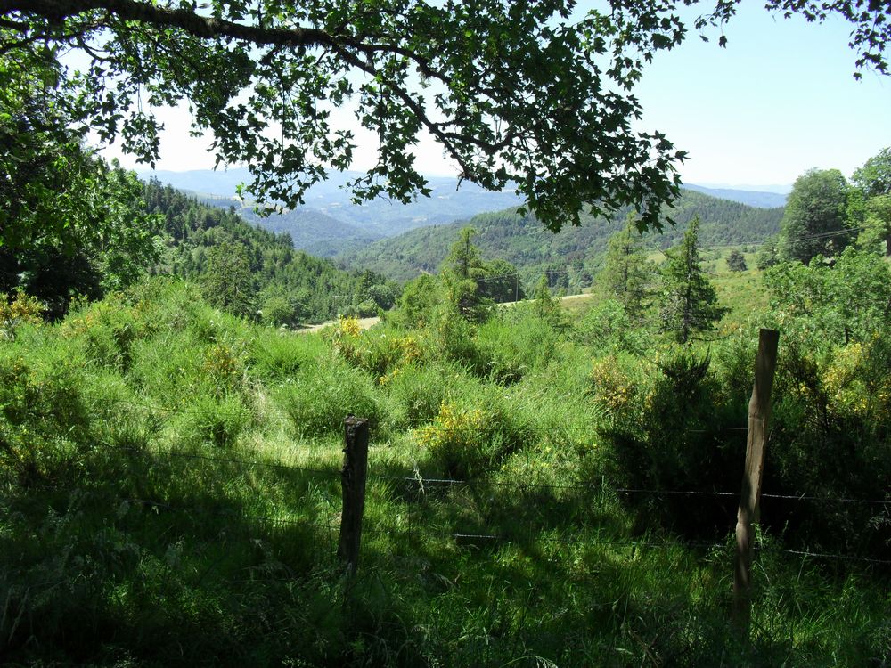 L'Ardeche dans une cabane ! Sam_1424