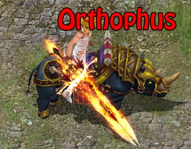 [PREVIEW] Donation/P Mounts Orthop10