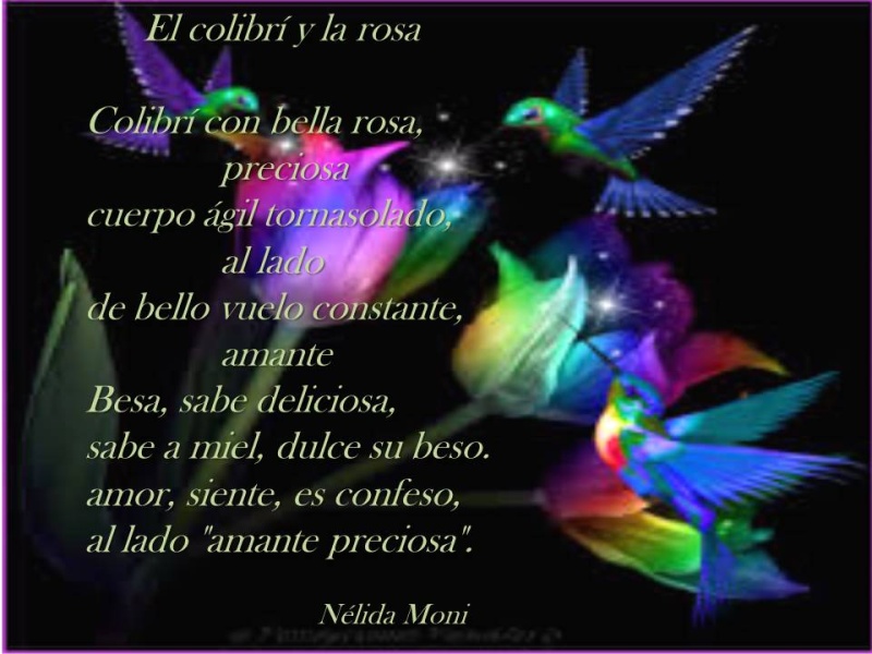  El colibrí y la rosa (ovillejo) El_col10