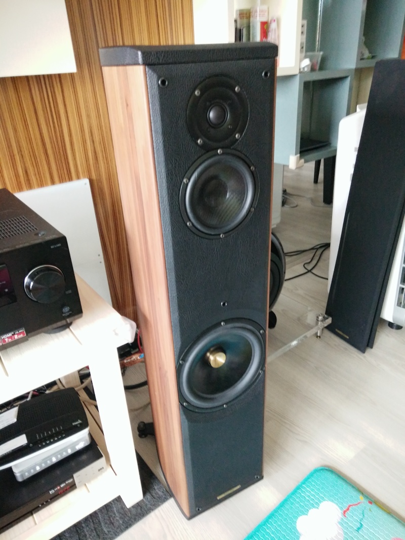 SONUS FABER LIUTO TOWER WOOD (SOLD) Img20111