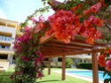  Bel appartement 130 m2 Location vacances, 8125-481 Vilamoura (Algarve) PORTUGAL        P1010518