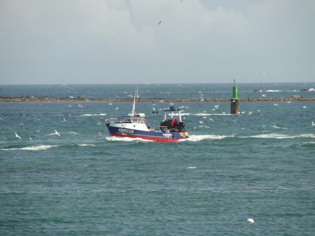 [VIE DES PORTS] Quelques bateaux de pêche (sur nos côtes Françaises) - Page 25 Dsc05116