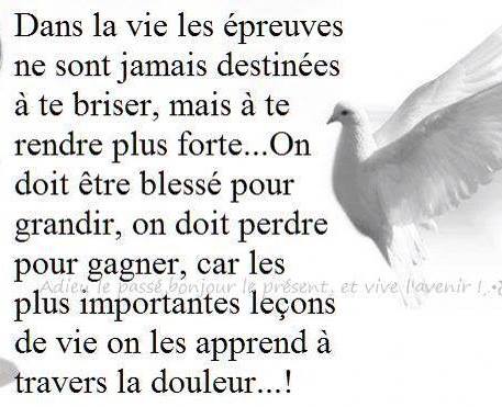 Des Citations Juste Pour Se Faire Du Bien Page 9 Des Citations Juste Pour Se Faire Du Bien Page 9