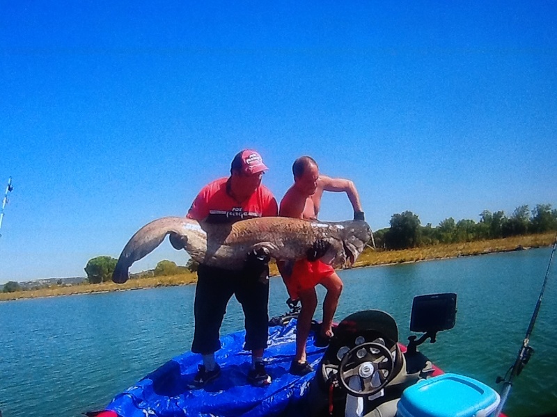 Ça mord au mois d'août????? Image97