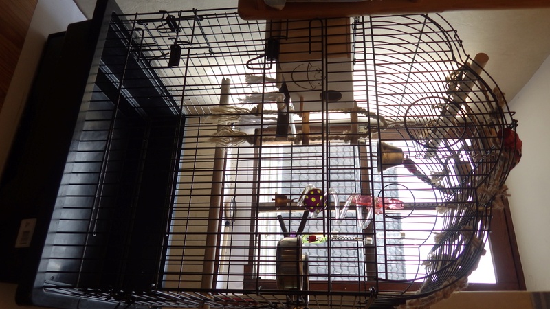 Cage a vendre Rimg2415