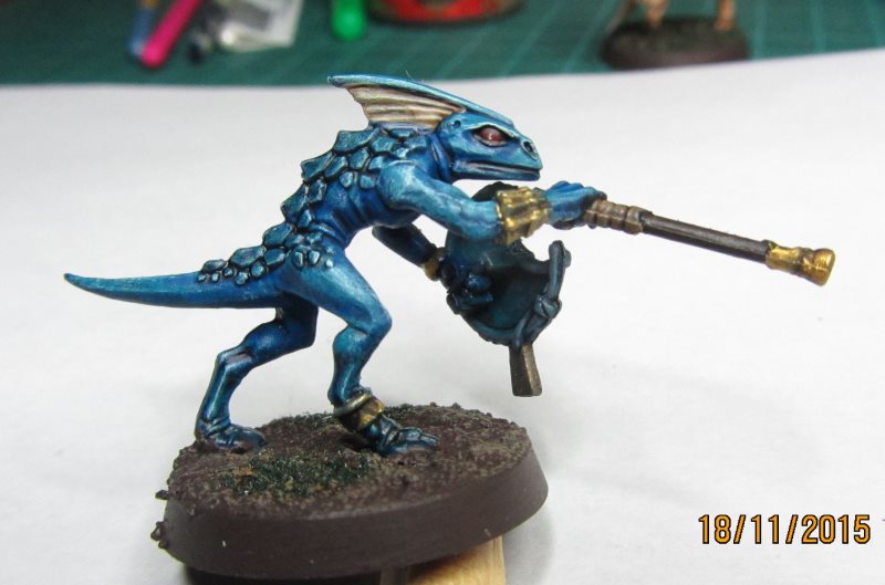 Mes brouillons de l'hiver ... Skink013