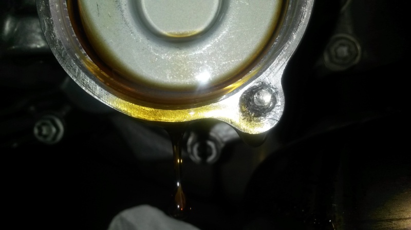 vis cassée dans le carter du filtre à huile 20160621