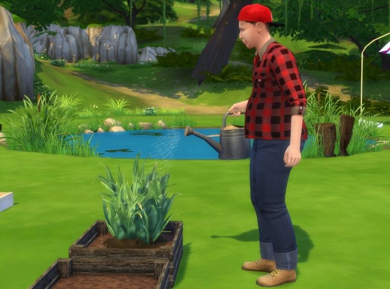 [En Test & Adaptation] Challenge Jardi-Écolo-Sims 26-06-27