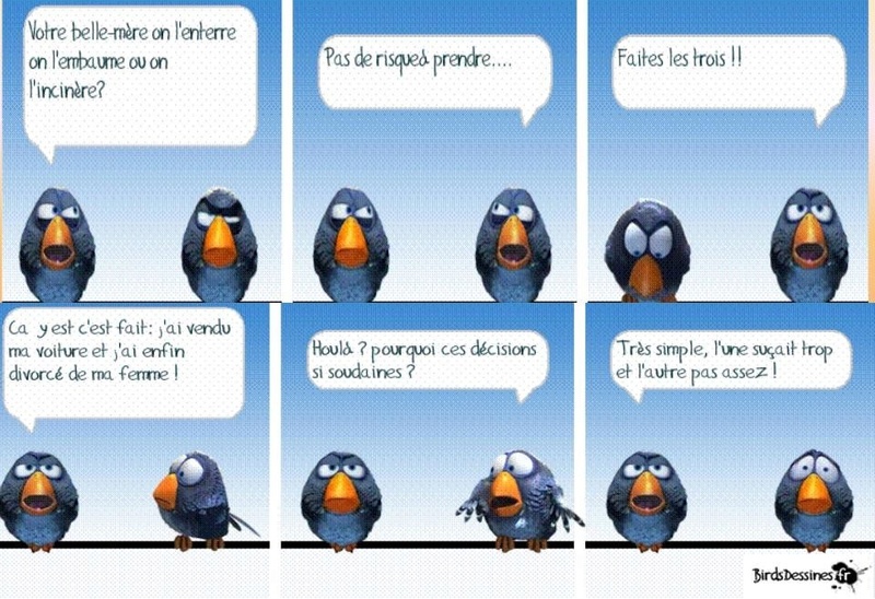 Mort de rire — parce que j'ai le sens de l'humour, moi ! - Page 8 Birds110