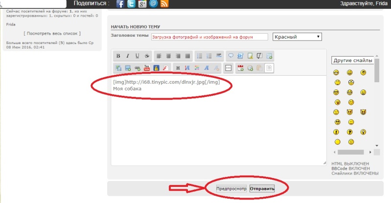 Загрузка фотографий и изображений на форум 00510