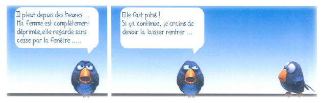 Le monde des "Birds" - Page 2 Birds_10