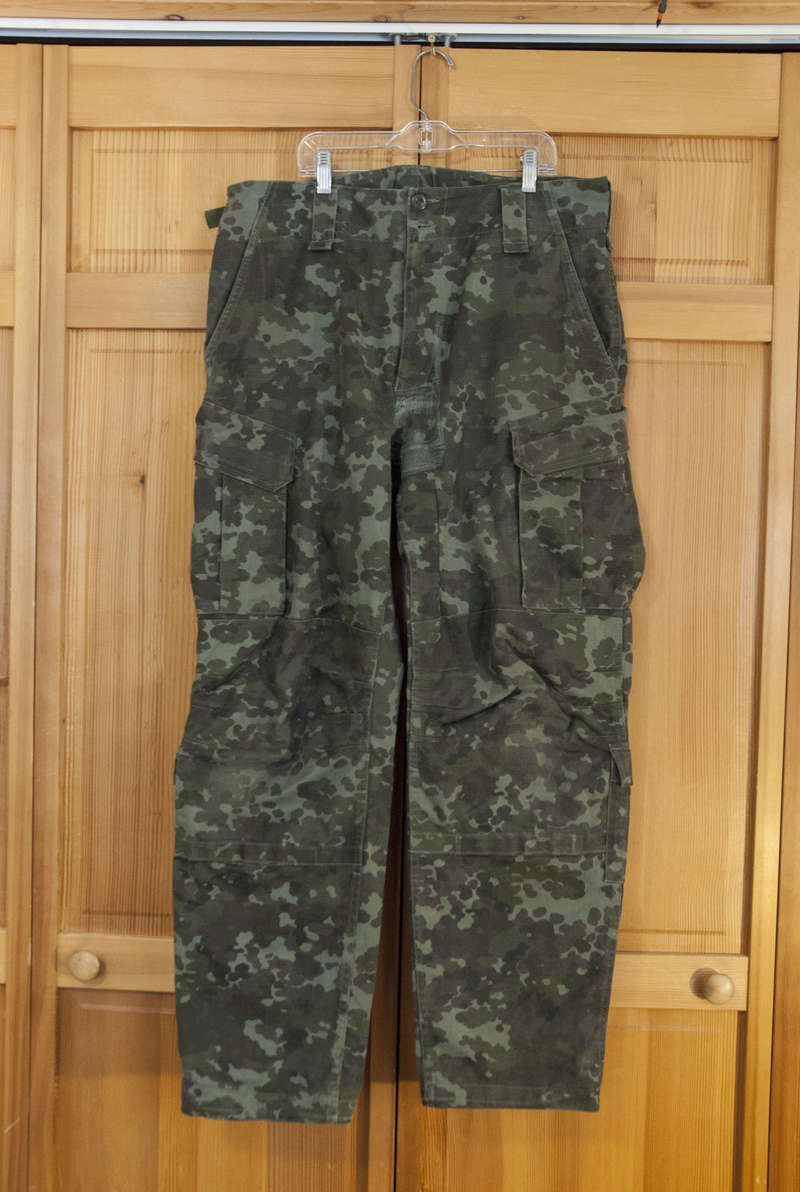 Polish Police Flecktarn Variations _2114011