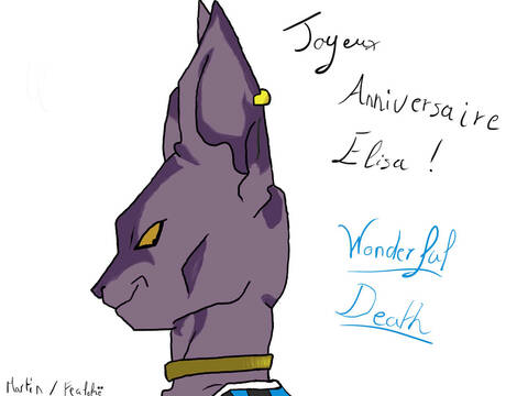 Joyeux Anniversaire Elisa Joyeux Anniversaire Elisa