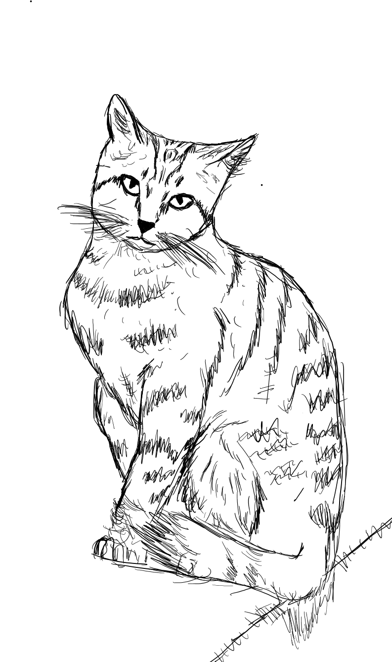 Sketch of Tawnykit Cat10