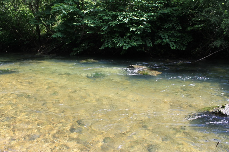 Petit périple sur l'Albarine ......... Albari12