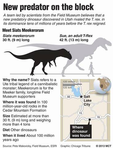 T Rex Size Chart