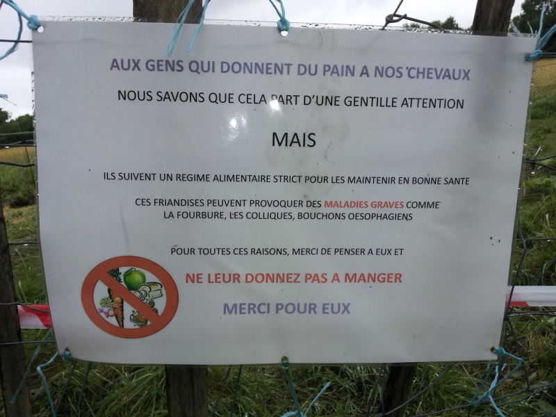 Moi pas comprendre cette affiche - Page 2 Loulou10