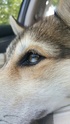 {Scrapbook} Freyja and Ragnar's Journey Resize10