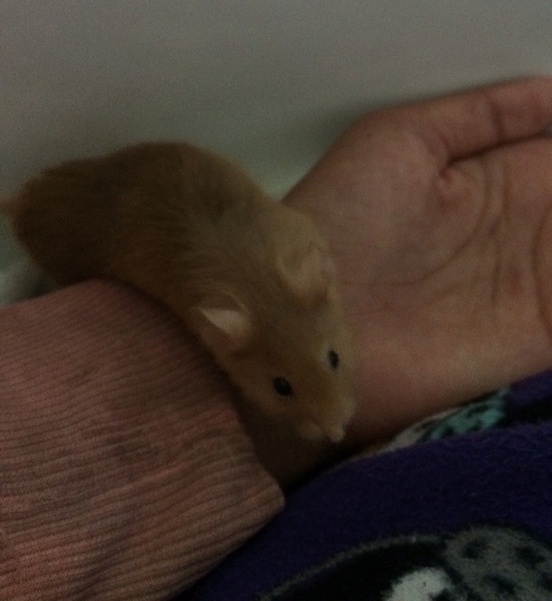 Meet Monster! 8-28-117
