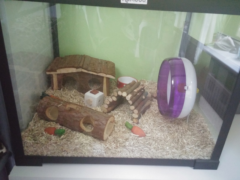 The tank is ready! Pic_1610