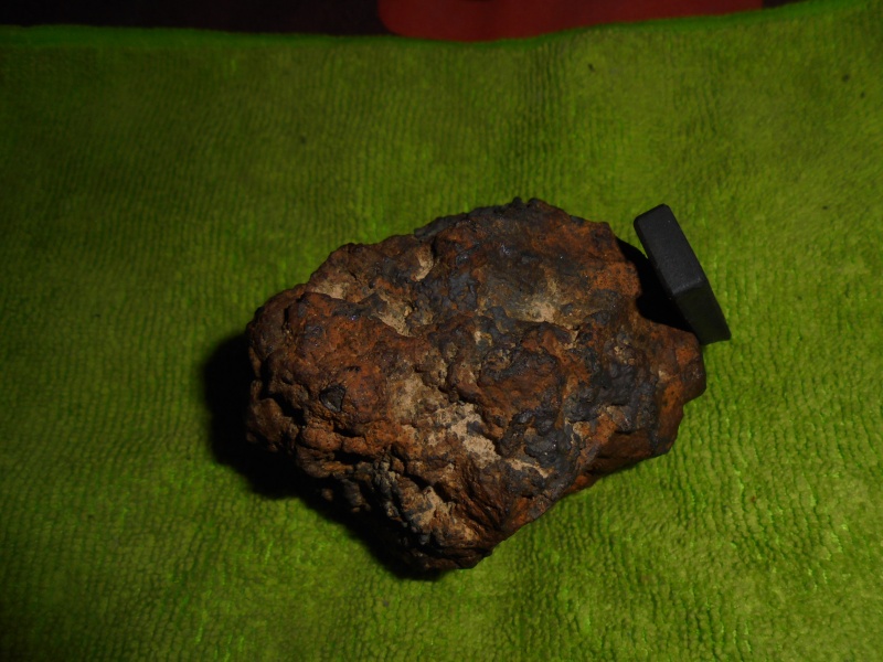 identifier meteore Dsc00115