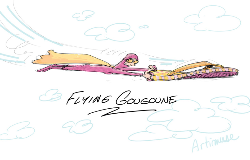 [Présentation] Tous aux abris, voici GougouneVolante! Flying11