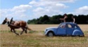 fini de mettre la CG au nom du petit dernier  - Page 3 2cv12