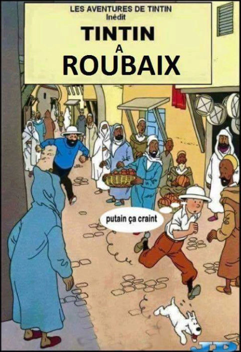 humour - Page 8 Tintin10