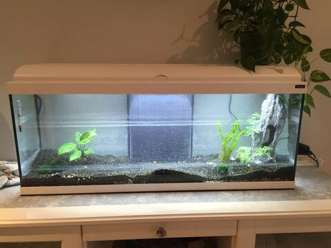 Nouvel Aquarium 120l