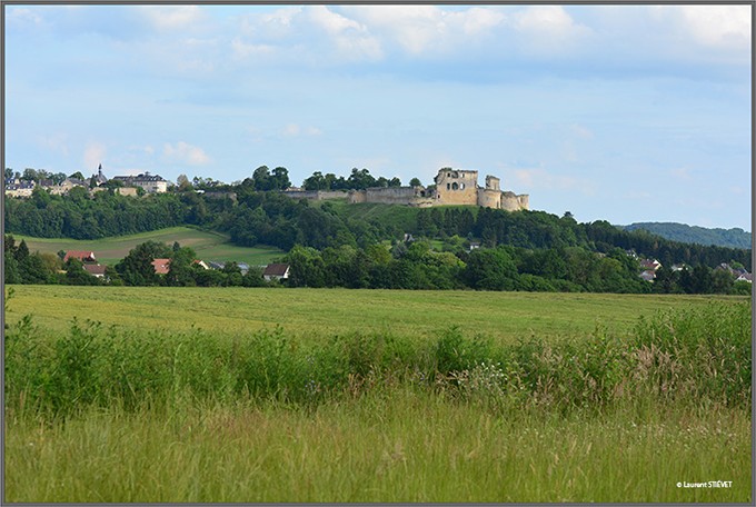 coucy-le-château Dsc_1415