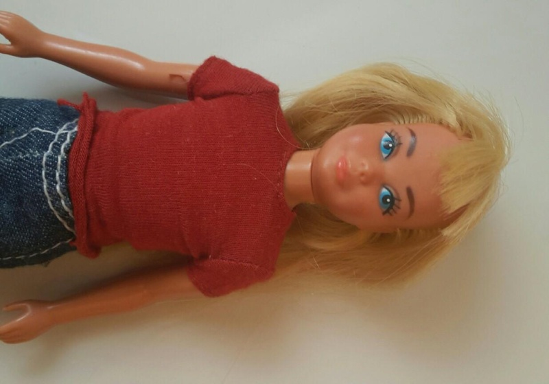 barbie - Barbie, Ken, Skipper e Scott Skippe10