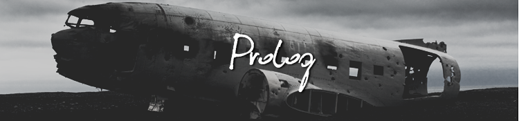 Prolog - Tagebucheintrag (Emily Winkens) Planec11