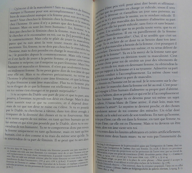 frontière réalité /fantasme - Page 2 Jung_l11