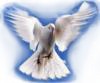 Христианские ,стихи ХВЕ о Духе Святом, о Пятидесятнице Dove-h11