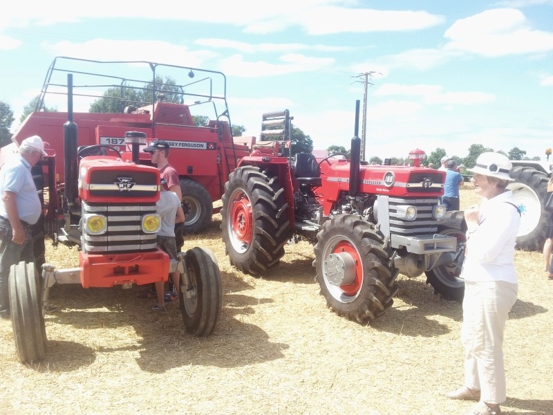 35-GUIPEL Fête des moissons et des chevaux. 20160831