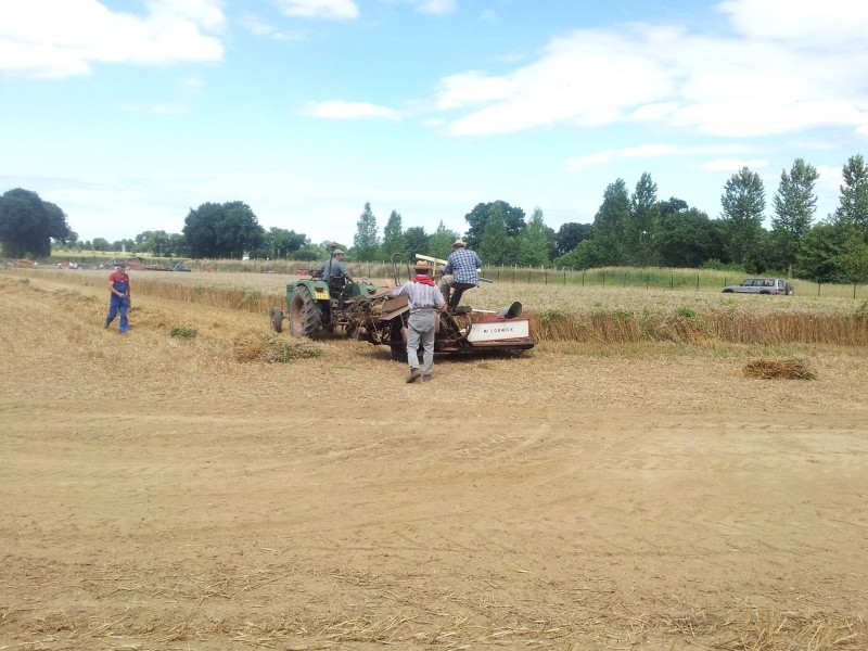 35-GUIPEL Fête des moissons et des chevaux. 20160840