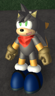 Vairik The Hedgehog REDO Untitl10