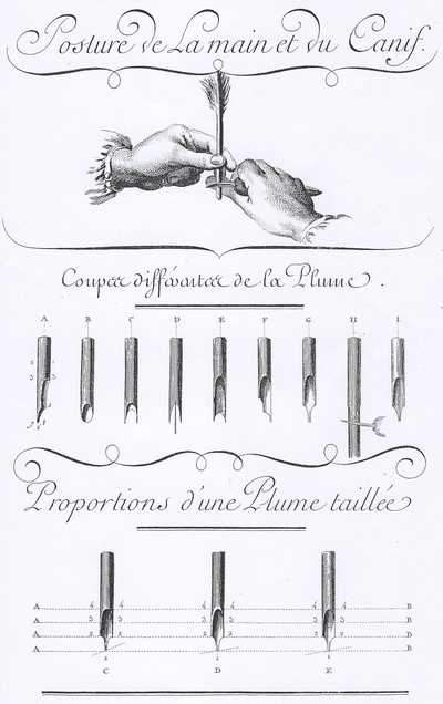 Plumes et Plumassiers au XVIIIe siècle Didero11