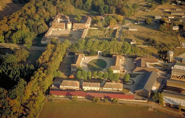 La Bergerie royale de Rambouillet Merino12