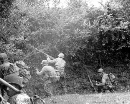 "La Bataille des haies", Normandie, 1944 P0133510