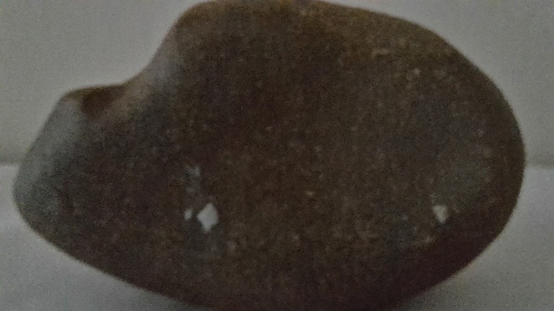 Pebble vessel with ammonite  20160847
